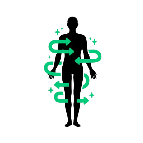 Metabolic Reset Protocol (90 Days)